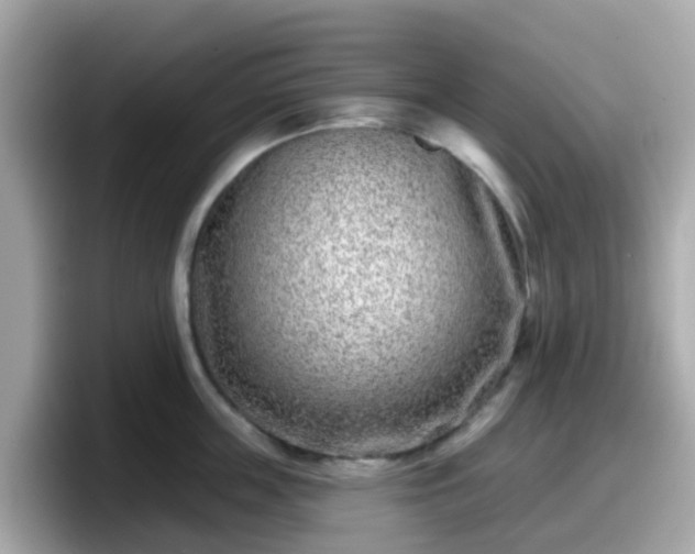 X0000098090859200804111001