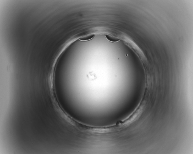 X0000098090860200804111001