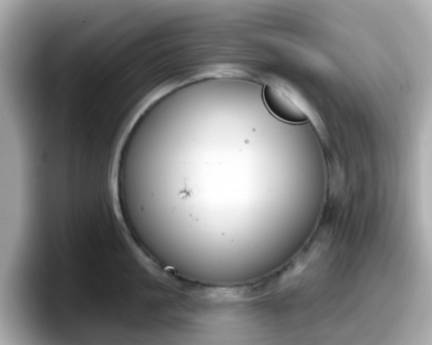 X0000098090861200804111001