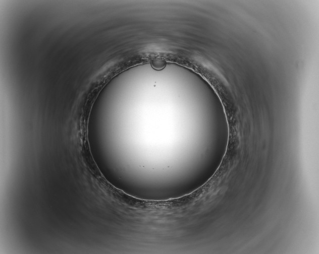 X0000098090870200804111000