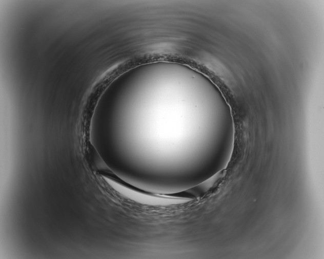 X0000098090872200804111000