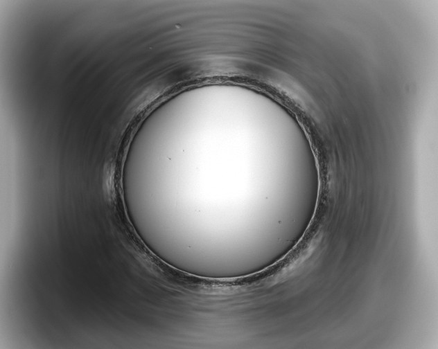 X0000098090873200804111000