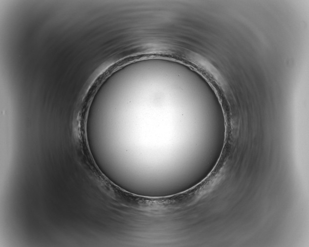 X0000098090875200804111000