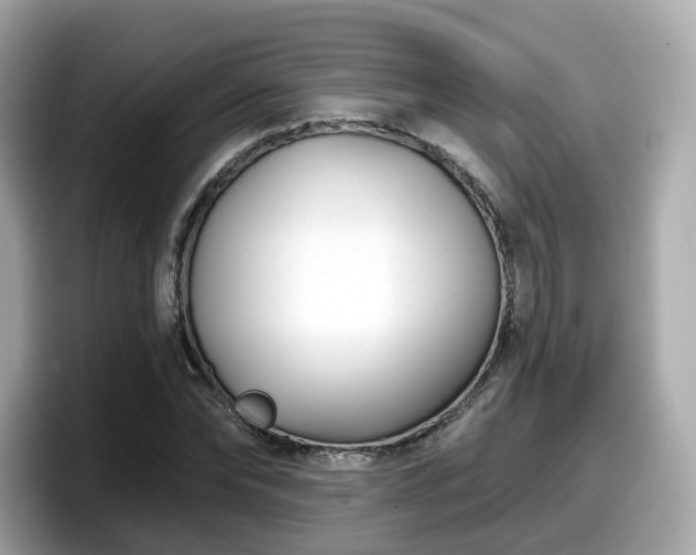 X0000098090878200804111000