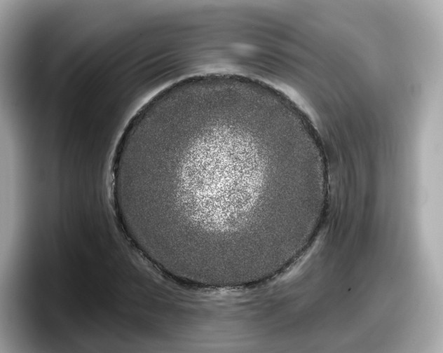 X0000098090879200804111000