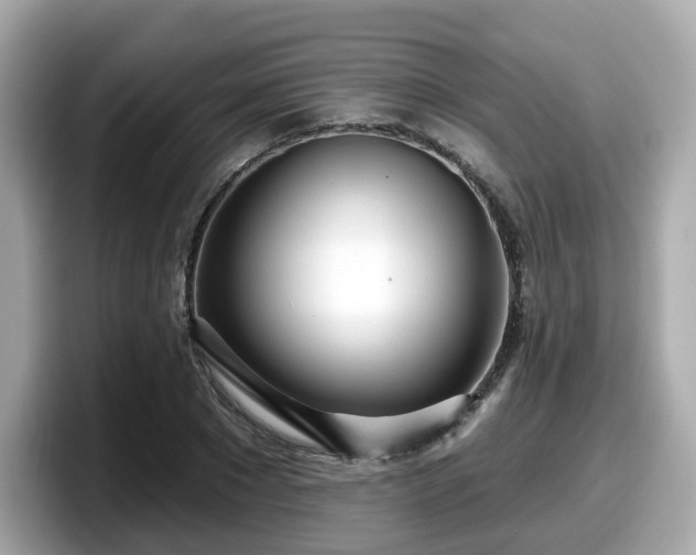 X0000098090881200804111000