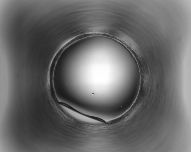 X0000098090884200804111000