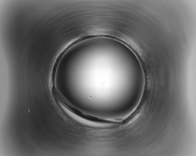 X0000098090885200804111000