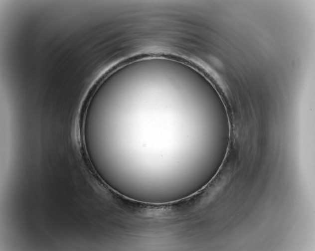 X0000098090887200804111000
