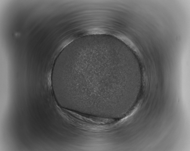 X0000098090889200804111000