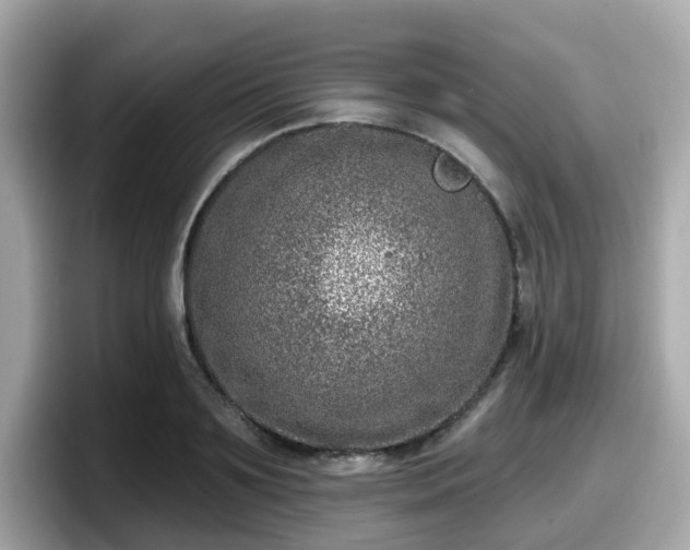 X0000098090891200804111000