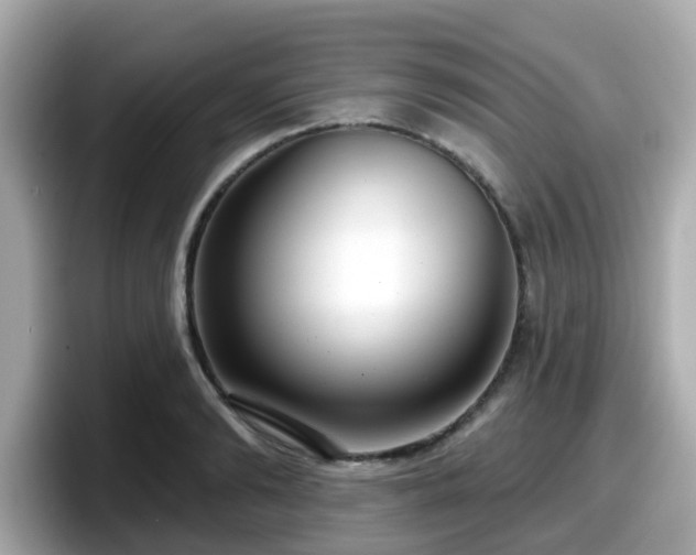 X0000098090894200804111000