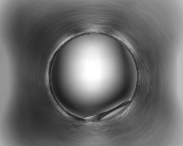 X0000098090902200804111000