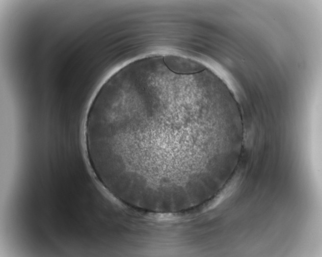 X0000098090903200804111000