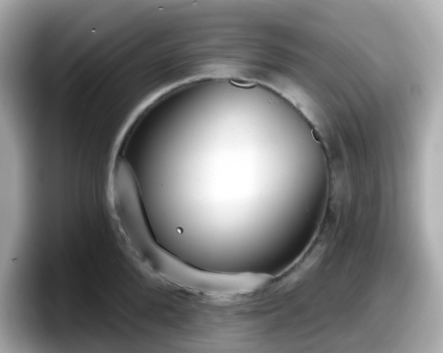 X0000098090904200804111000