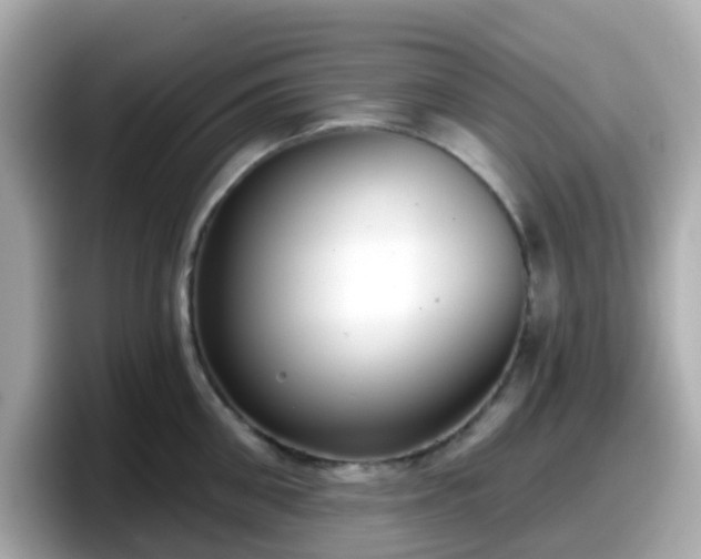 X0000098090906200804111000