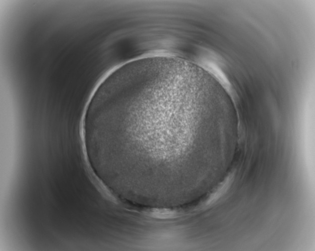 X0000098090907200804111000
