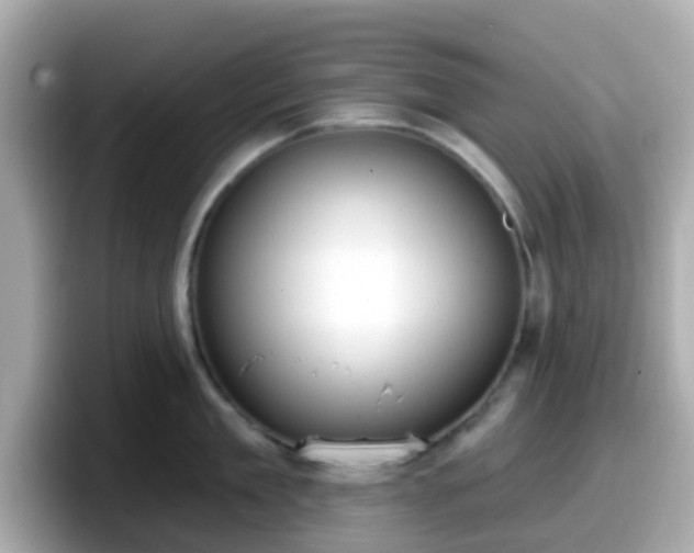 X0000098090909200804111000