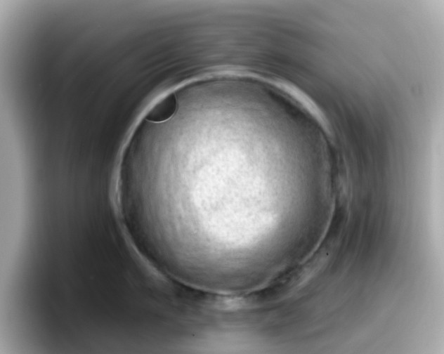 X0000098090911200804111000