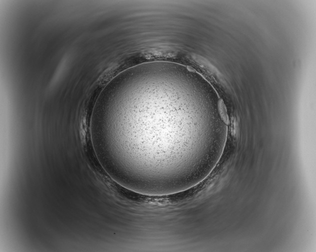 X0000098090915200804110959