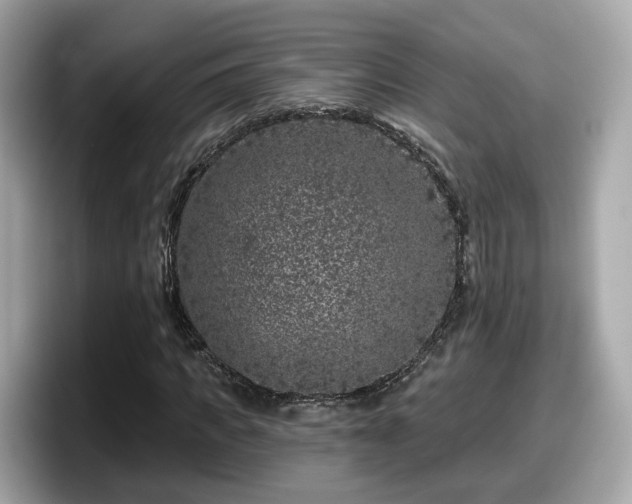 X0000098090917200804110959