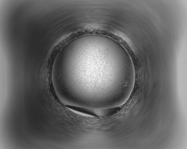 X0000098090919200804110959
