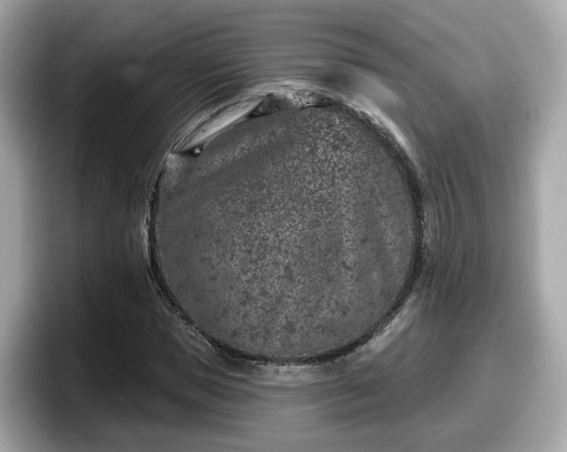 X0000098090921200804110959
