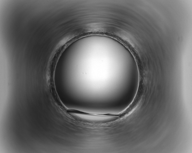 X0000098090922200804110959