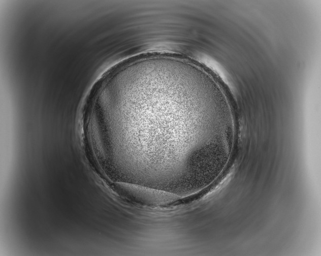 X0000098090923200804110959