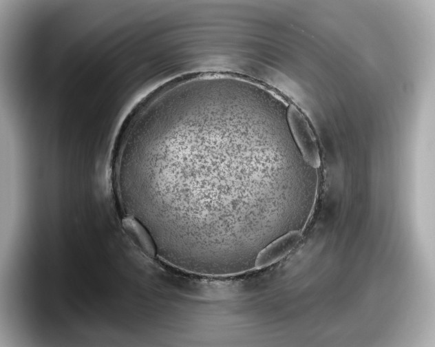 X0000098090928200804110959