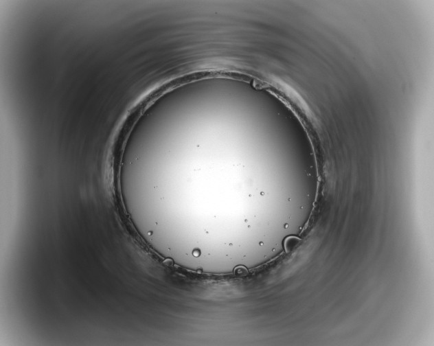 X0000098090931200804110959
