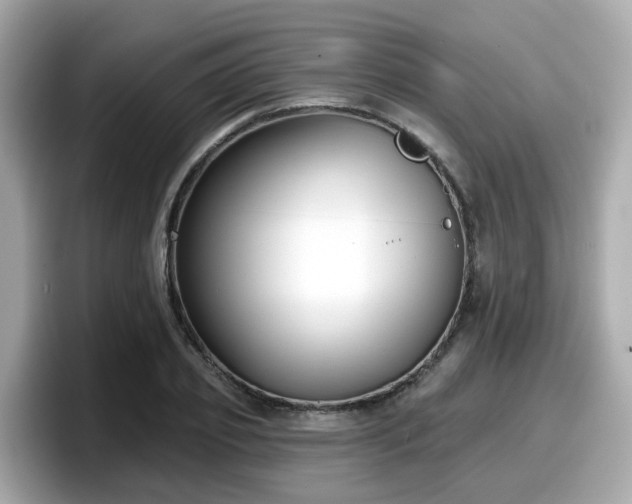 X0000098090933200804110959
