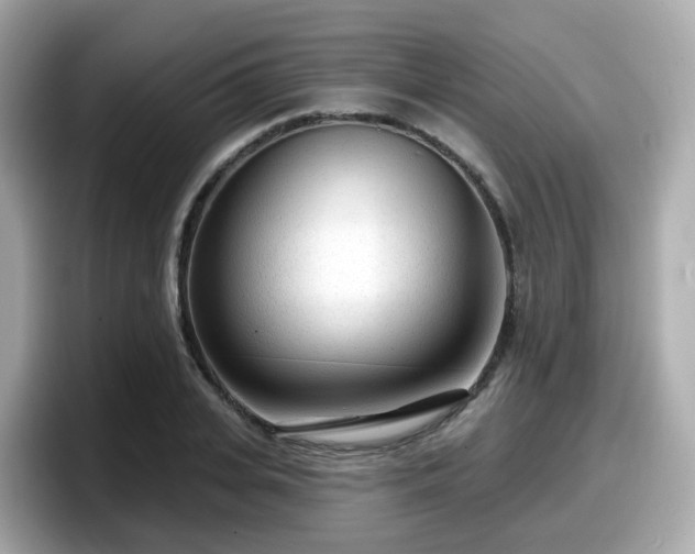 X0000098090935200804110959
