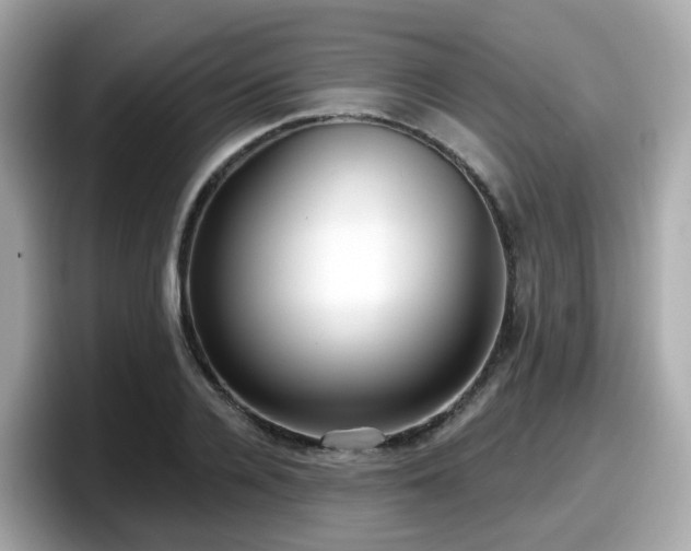X0000098090936200804111000