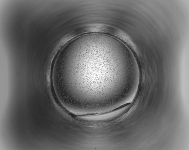 X0000098090938200804111000