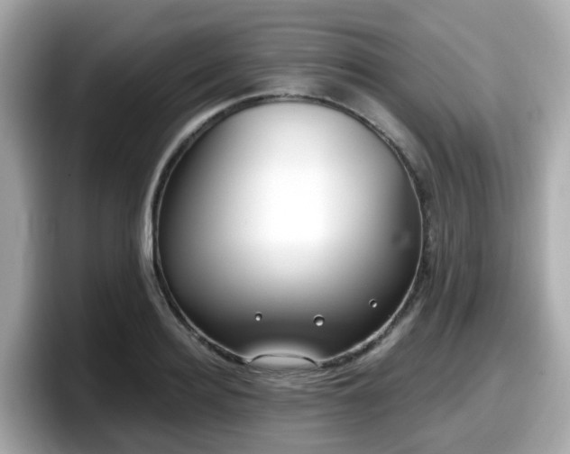 X0000098090940200804111000