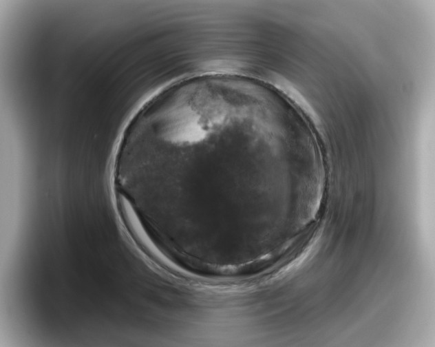X0000098090941200804111000