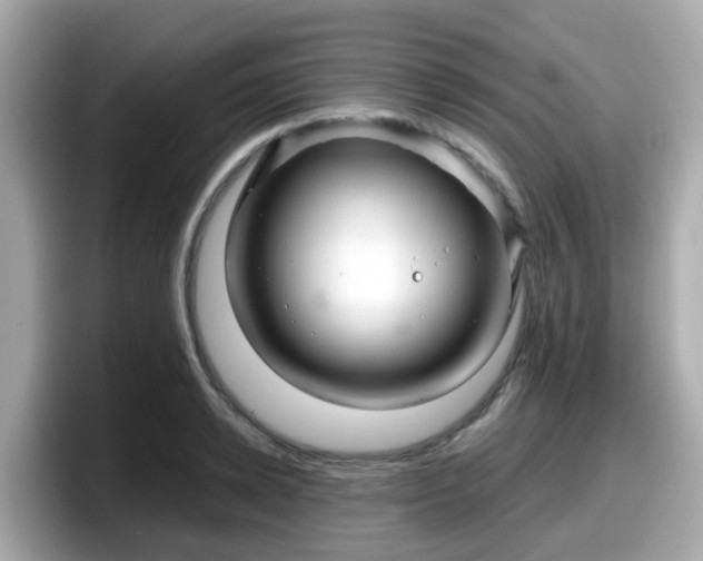 X0000098090942200804111000