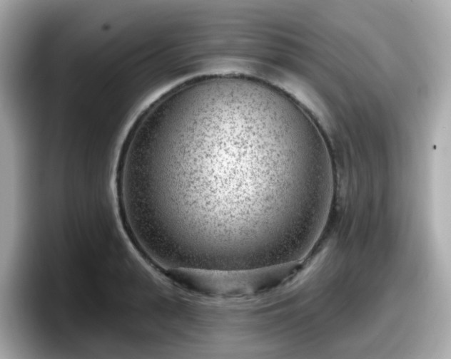 X0000098090943200804111000