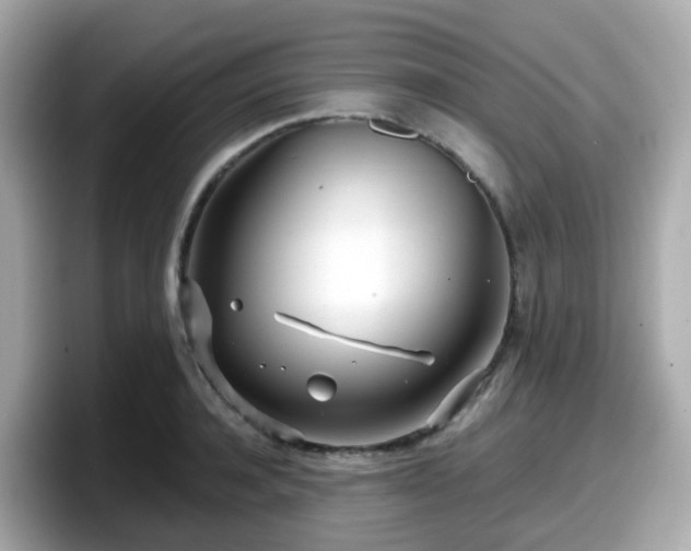 X0000098090944200804111000