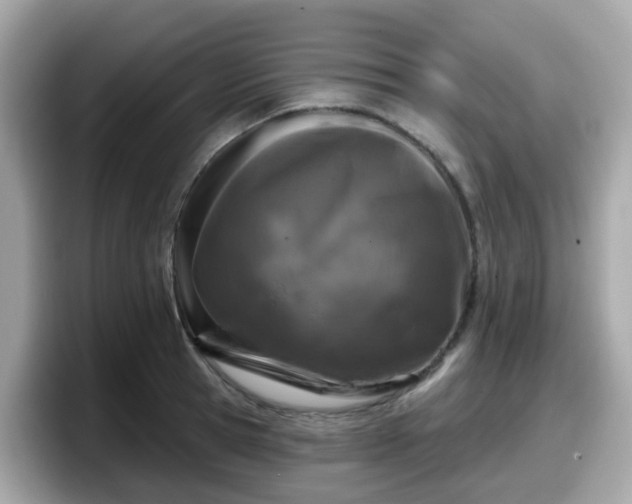 X0000098090945200804111000