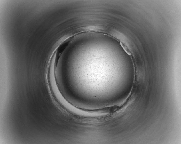 X0000098090946200804111000