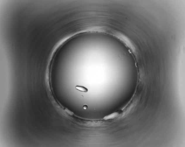 X0000098090952200804111000