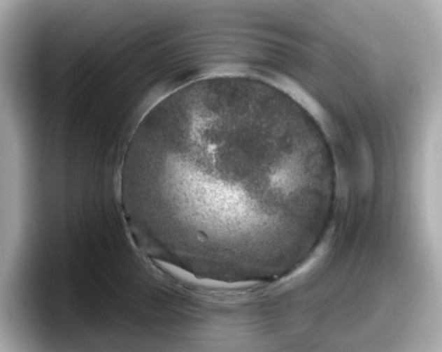 X0000098090953200804111000