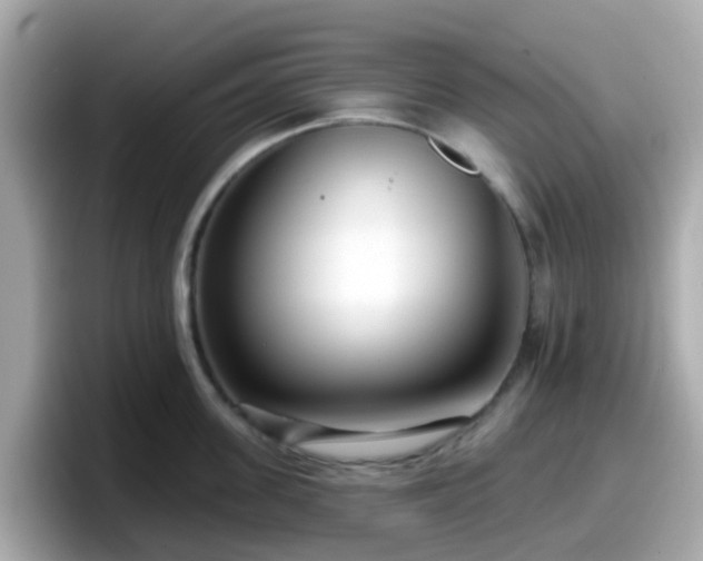X0000098090955200804111000