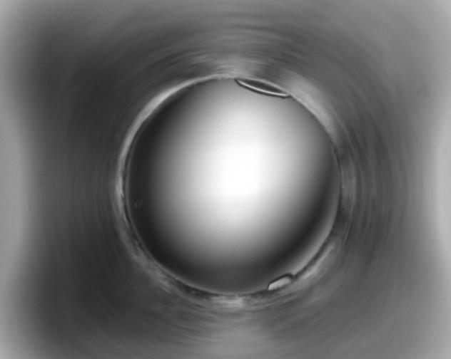 X0000098090956200804111000