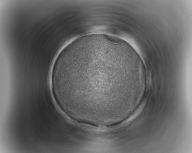 X0000098090957200804111000