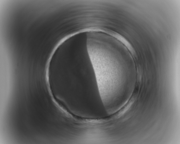 X0000098090958200804111000