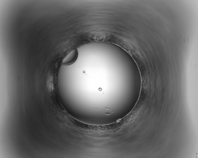 X0000098090962200804110959