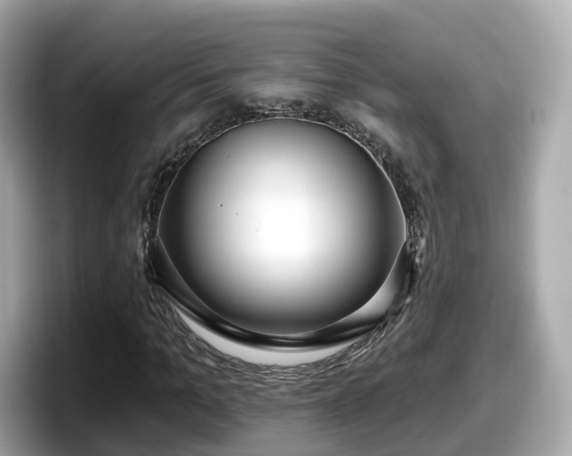 X0000098090965200804110959